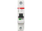 Disgiuntore SMISSLINE CLASSIC 1×16 K 25kA