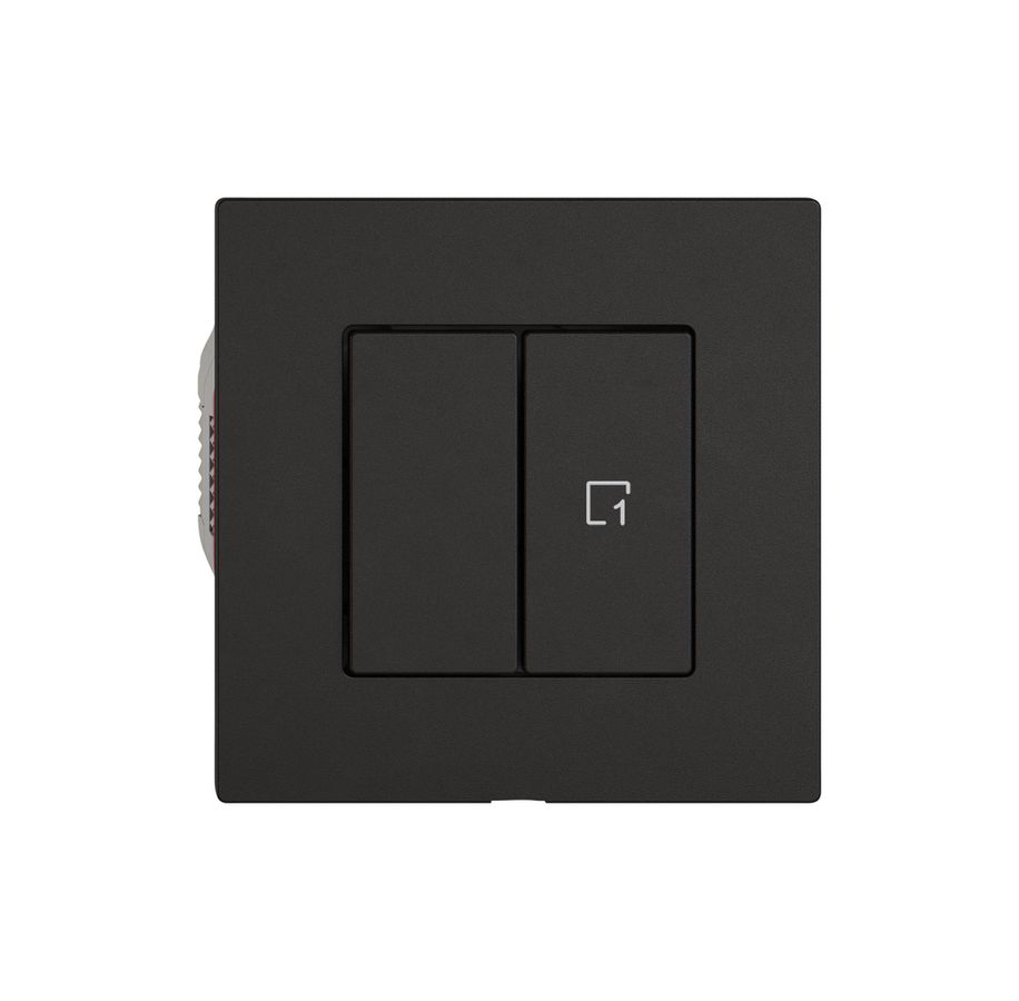 Interrupteur à poussoir EDIZIO.liv Wiser SNAPFIX® 1 scène 2 touches WLAN no