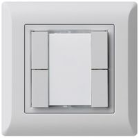 UP-Universaltaster 4×kallysto.line ohne LED hellgrau