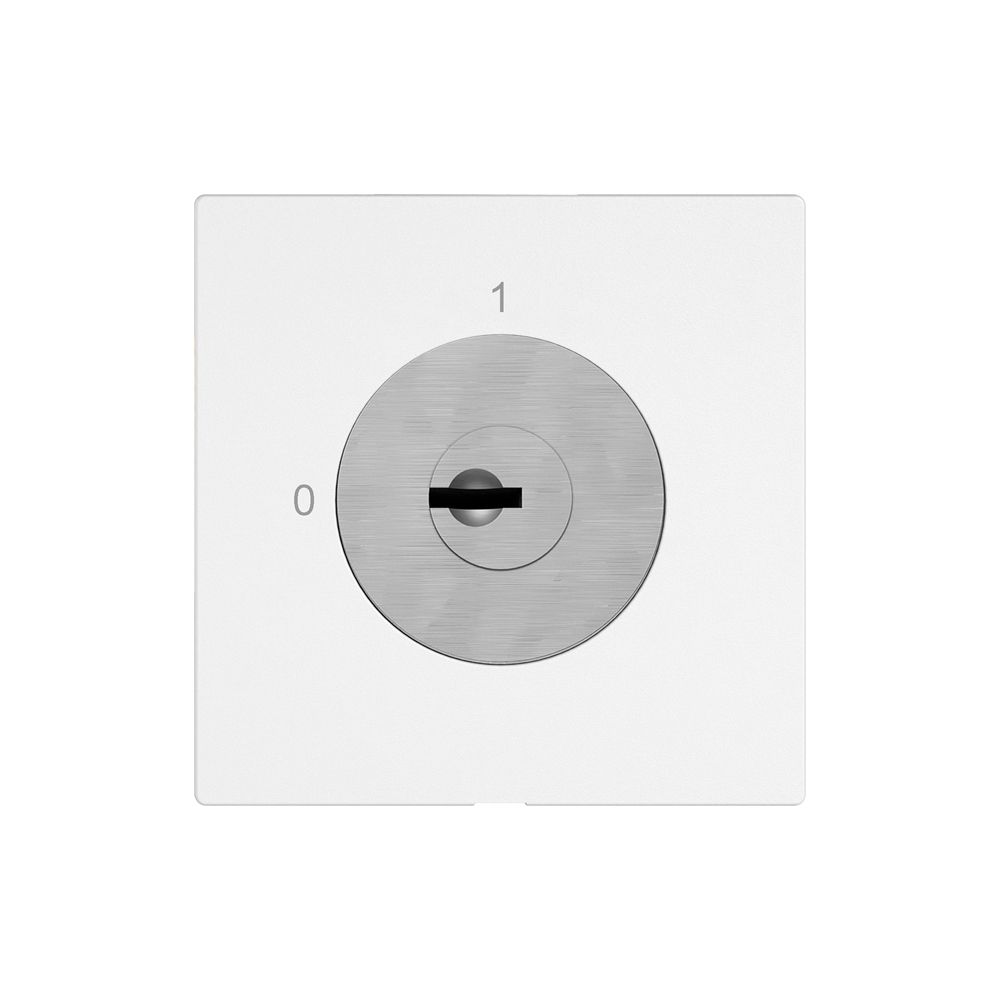 Interrupteur à clé EDIZIO.liv a.1007FB/631984 a.1P en avance 4P 0-1 p=67mm bc