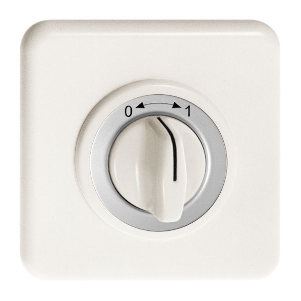 UP-Frontset 0-1 weiss für Schwenktaster FH