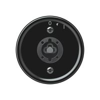 Schwenktaster origin ohne Zylinder 1P 0<1 10A 230V 60×60mm schwarz