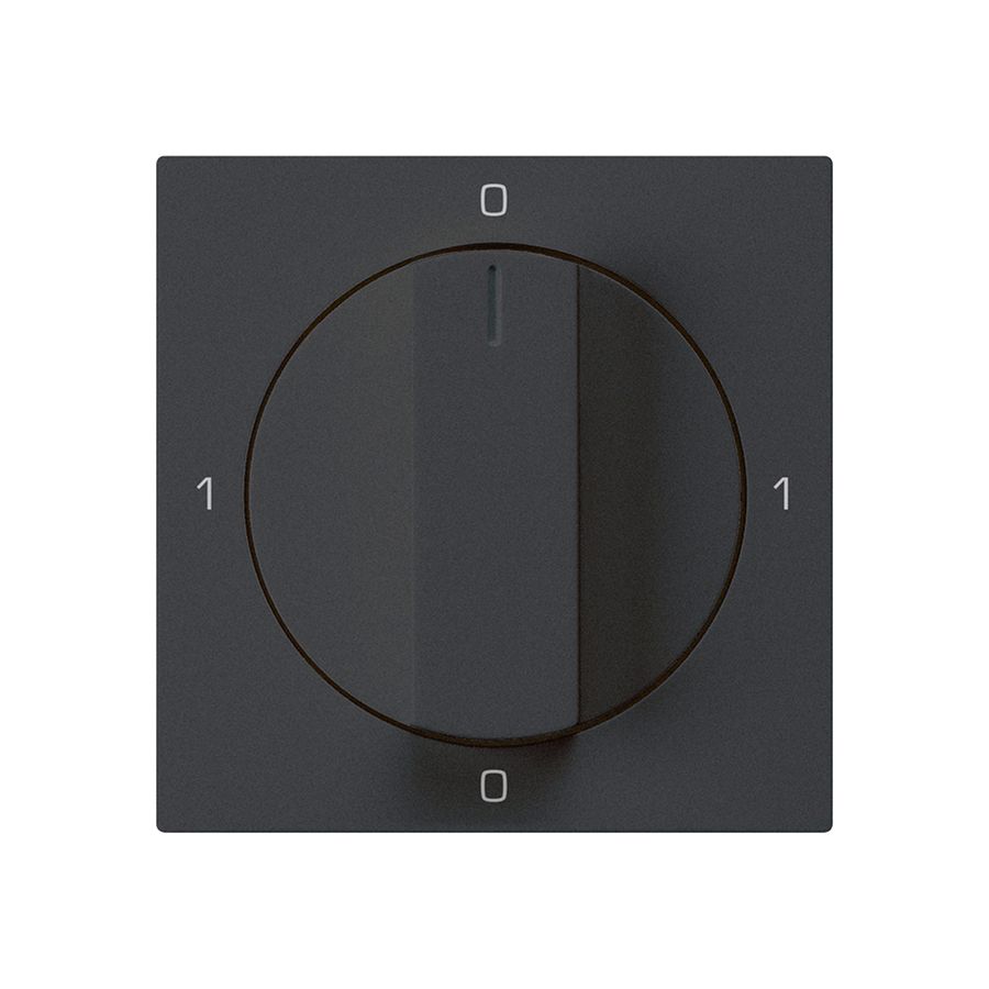 Einsatz zu Drehschalter kallysto 0/3L schwarz mit Drehgriff