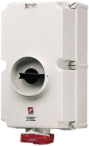 Prise CEE duo IP67 3LNPE 125A