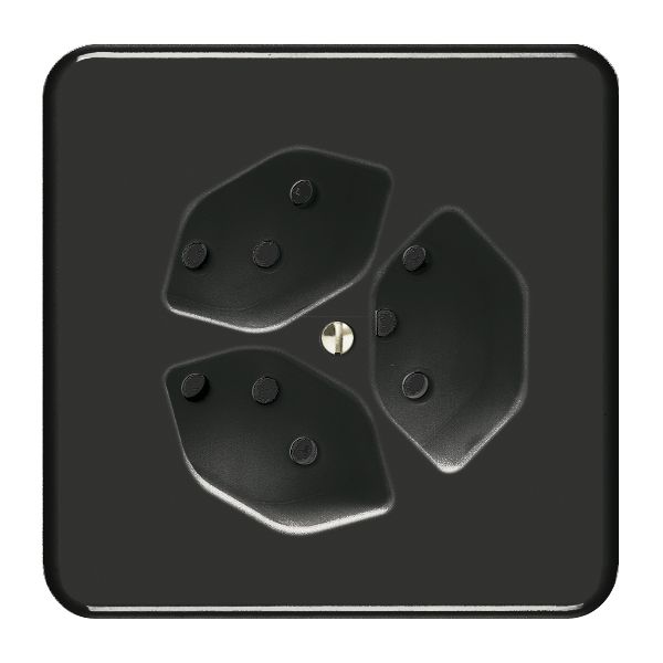 Frontset FH zu Steckdose 3×T13S schwarz