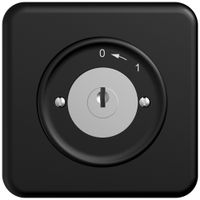 UP-Schwenktaster STANDARDdue SNAPFIX® 0<-1/1P mit Schloss & 2 Schlüsseln sz