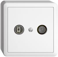 Prise TV-R AP EDIZIOdue 11dB blanc à large bande 5…2000MHz, FX39