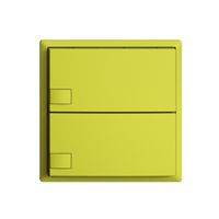 UP-Taster KNX 2-fach EDIZIOdue lemon RGB ohne LED
