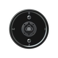 Schlüsselschalter origin Serienschalter 1/1L 16A 250V 0-1-2-1+2 60×60mm schwarz