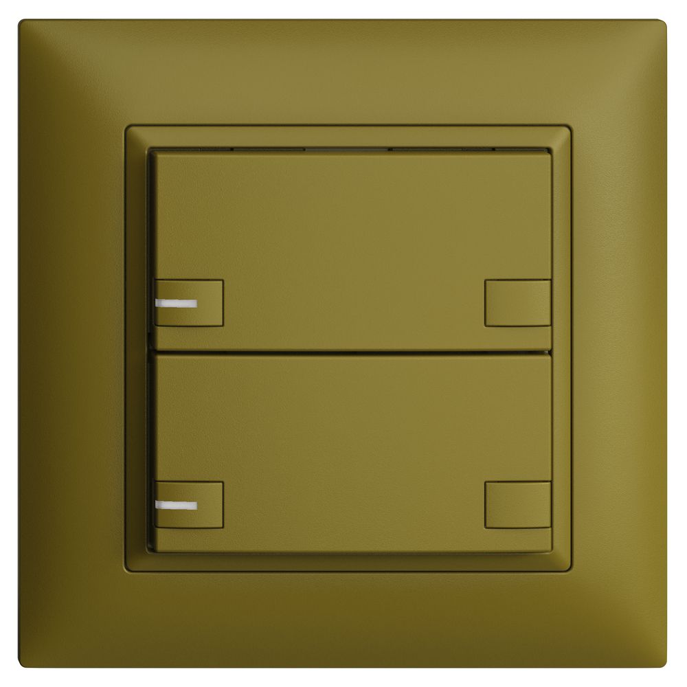 Poussoir KNX RGB ENC EDUE FMI, 250mW, a.LED RGB, 2×poussoir, comm.2×touches, ov