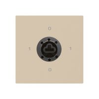 Einsatz zu Schlüsselschalter kallysto 0/1L beige f.Sicherheitsschloss o.Zylinder