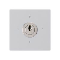 Einsatz zu Schlüsselschalter kallysto 0/3L hellgrau mit Schloss Kaba 8