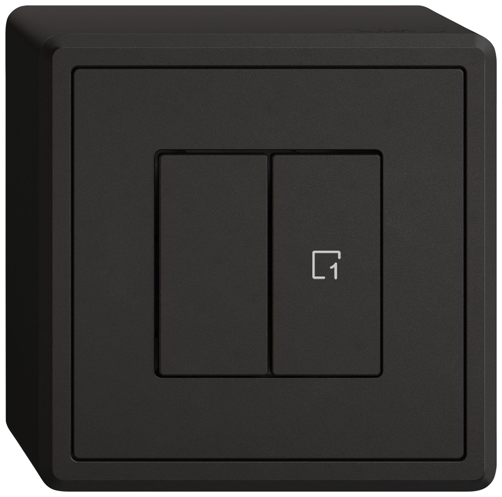 Station sec.interr.AP EDIZIO.liv Wiser SNAPFIX® 1 scène 2 touches WLAN no