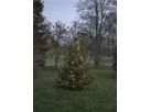 Baum-Lichterkette System 24 Extra, schwarz, 1.8W, 84 LED, 1.8m, warmweiss