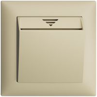 UP-Frontset EDIZIOdue vanille 88×88mm zu Hotelcard 230VAC
