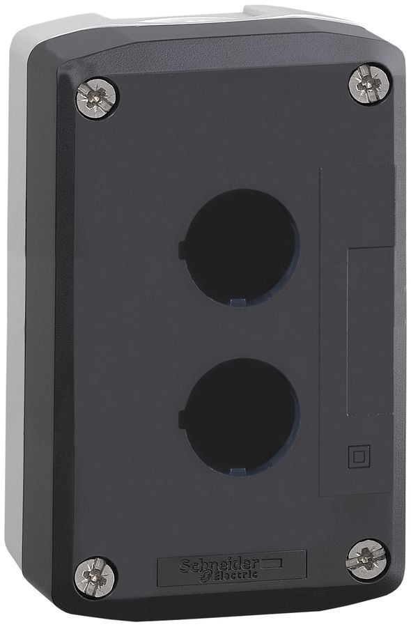 AP-Steuerkasten Schneider Electric 2 Elemente hellgrau