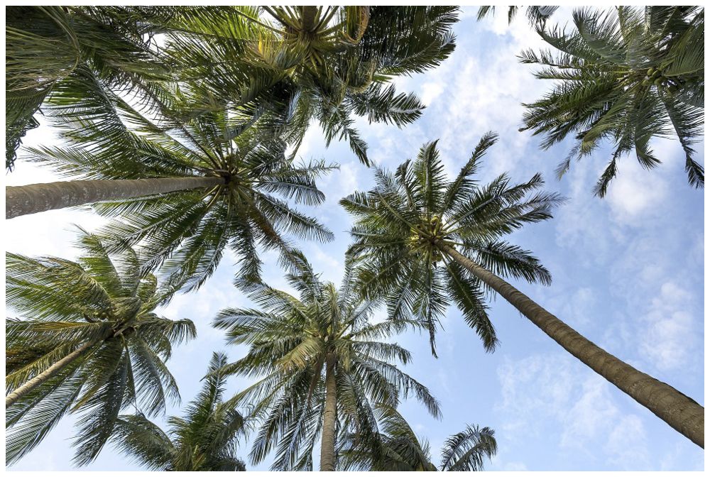 Motivplatte DOTLUX SKYLIGHT Motiv 4 für EB-Panel Raster 1×1 für 620×620