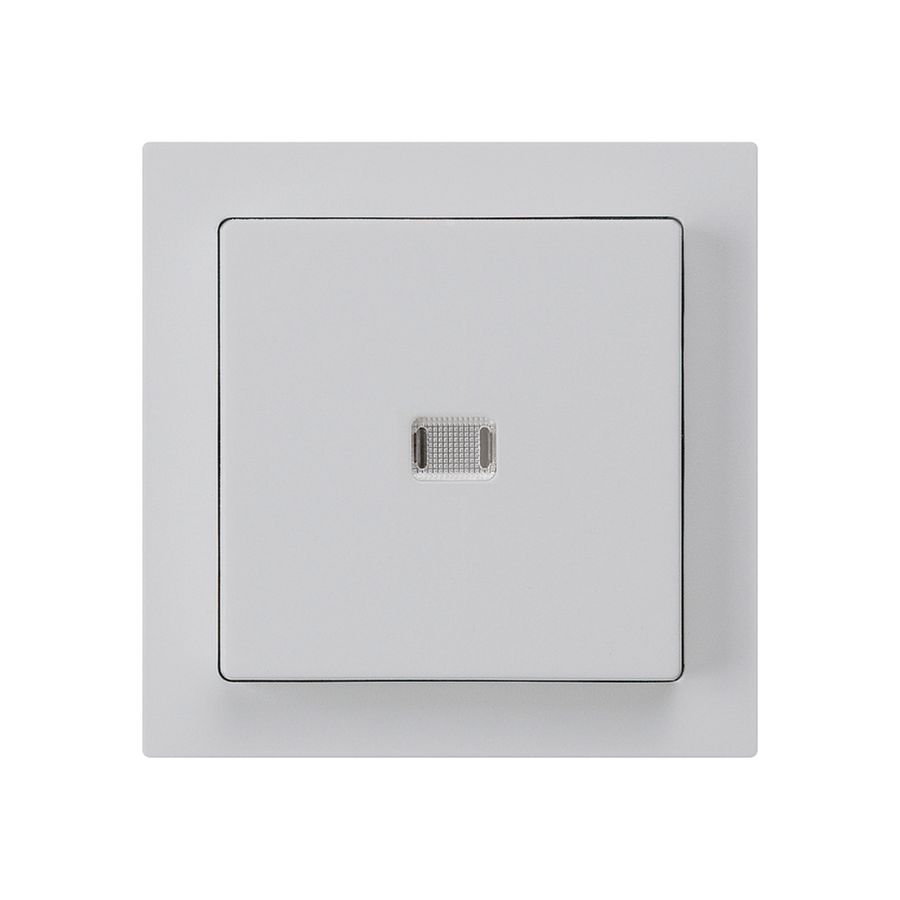 UP-Leuchttaster kallysto ARK hellgrau