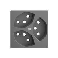 Frontplatte EDIZIOdue 3×T13 dunkelgrau