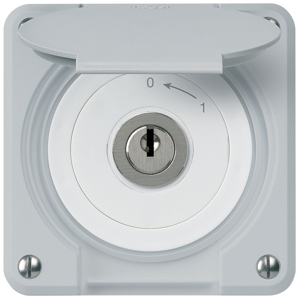 UP-Schlüsselschwenktaster robusto IP55 grau mit Deckel 2P für Kombination