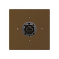 Intérieur interrupteur à clé kallysto 0/3L brun p.serrure de sûreté s.cylindre