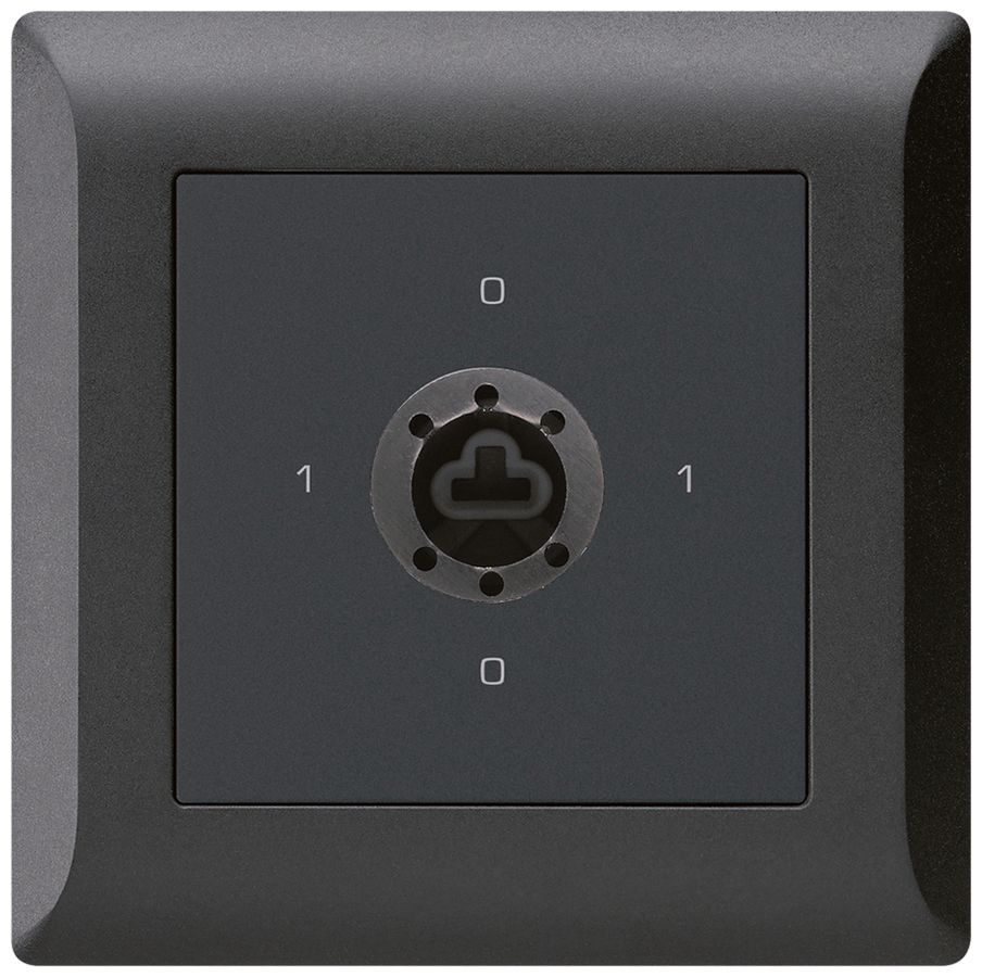 Interrupteur rotatif ENC kallysto.line 0/1L noir pour serrure sûreté s.cylindre