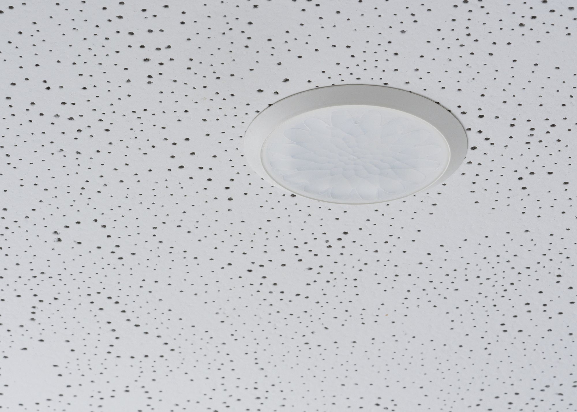 EB-Bewegungsmelder Theben theMova S360-100, weiss