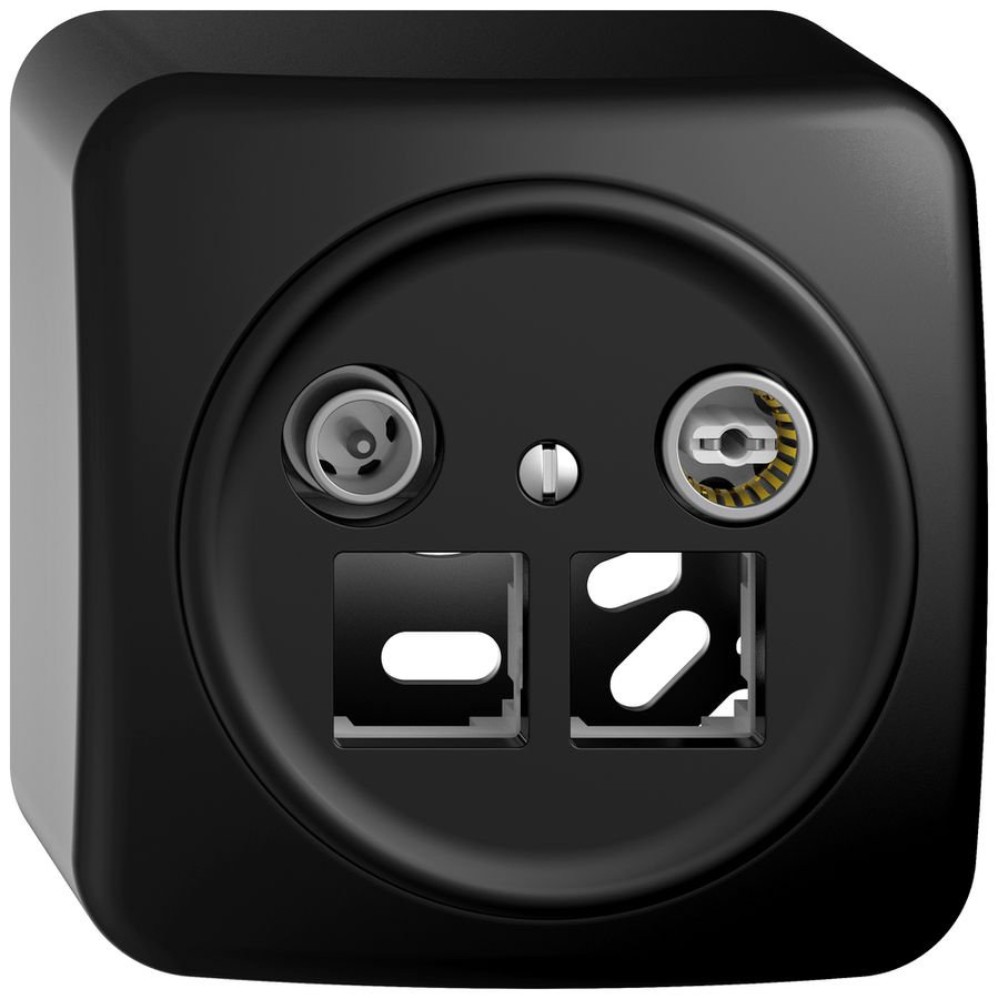 Prise multimédia AP TV-R STANDARDdue SNAPFIX® EASYNET p.2×RJ45 S-One 11dB no