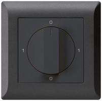 UP-Drehschalter kallysto.line 0/2L schwarz mit Drehgriff