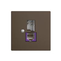 Dose T+T 6P/1×RJ45 DSL-Breitband EDIZIOdue coffee