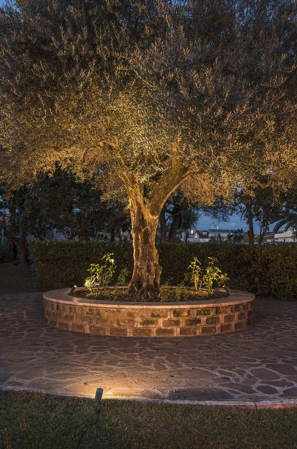 LED-Spiessleuchte SLV SYNA, 8.6W 470lm 3000K IP55 anthrazit