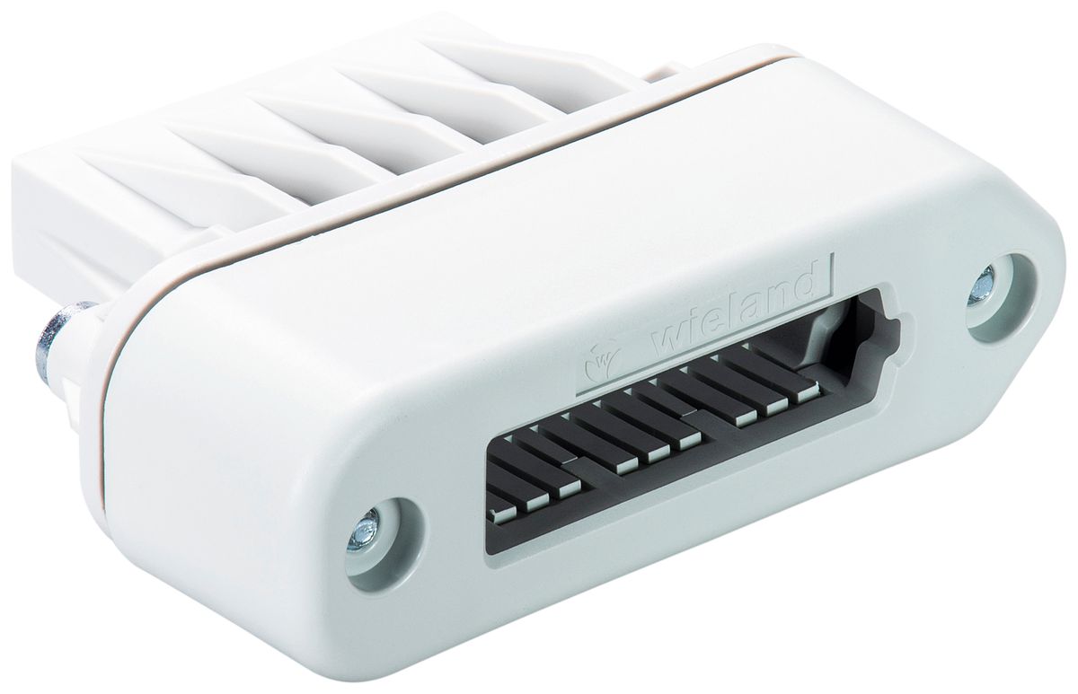 Embout Wieland podis pour câble plat IP65 gris clair