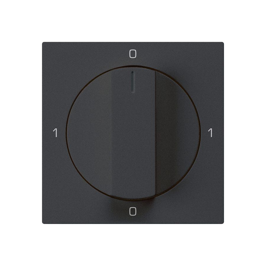 Einsatz zu Drehschalter kallysto 0/2L schwarz mit Drehgriff