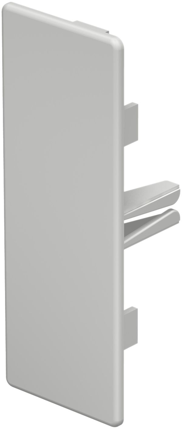 Plaque de fermeture Bettermann pour canal d'installation WDK gris clair 40×110mm