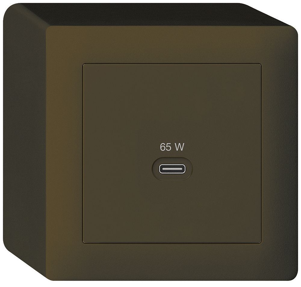 Prise de charge USB AP Hager kallysto type C 65W 3250mA brun