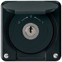 UP-Schlüsselschwenktaster robusto IP55 schwarz Deckel Wechsler für Kombination