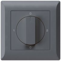 UP-Drehschalter kallysto.line 2/1L anthrazit mit Drehgriff