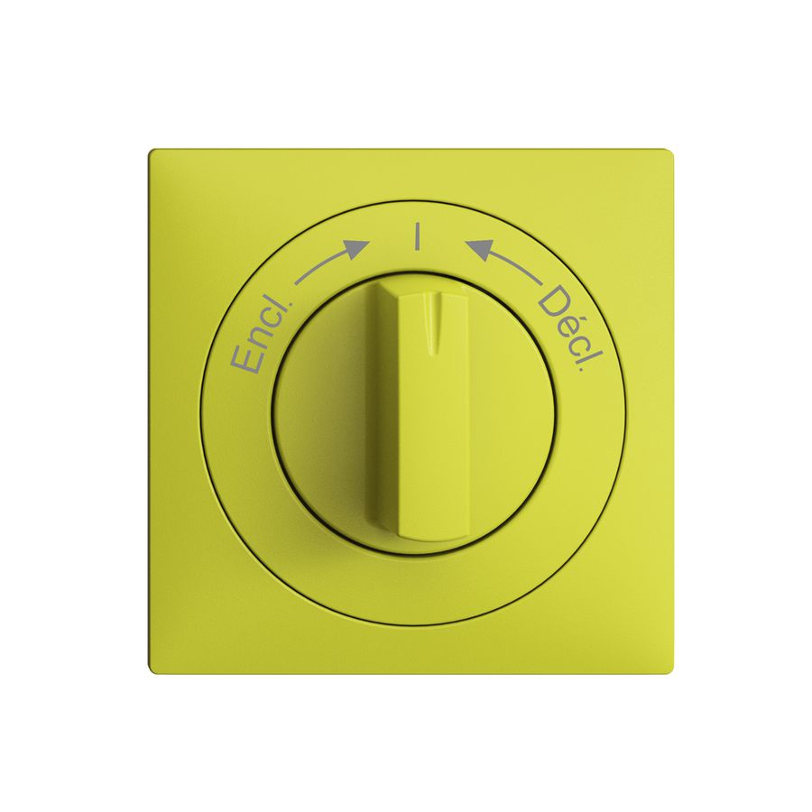 Frontset EDIZIOdue Encl.->I<-Décl. lemon 60×60mm für Schwenktaster
