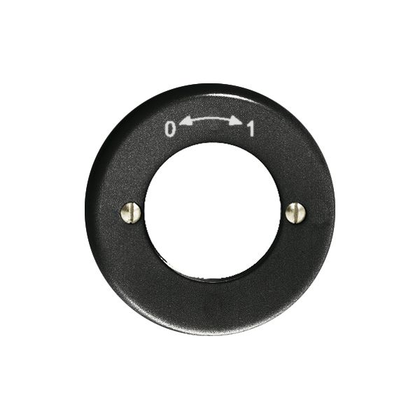 Frontset 0-1 schwarz, für Schlüsselschwenktaster FH