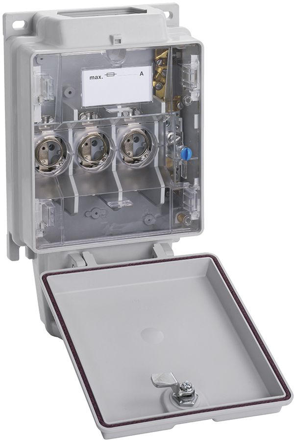 Coffret d'abonnés weber.hse60 63A entrée 2×/sortie brides raccord terre A8 Cu/Al