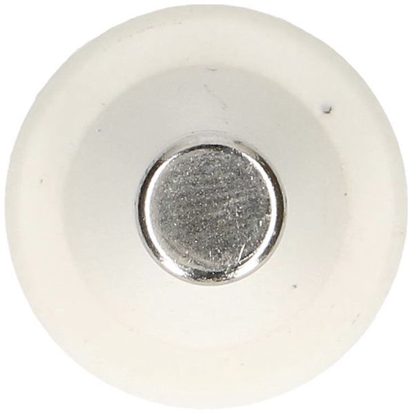 Fusibile D MAX HAURI DT-II 10A rosso 500V ritardo 50 KA gG Ø21×48mm 5 pezzi