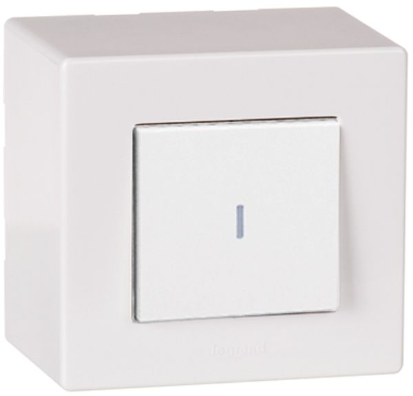 Inverseur AP 3/1L ARTEOR, 10AX, 2 modules, blanc