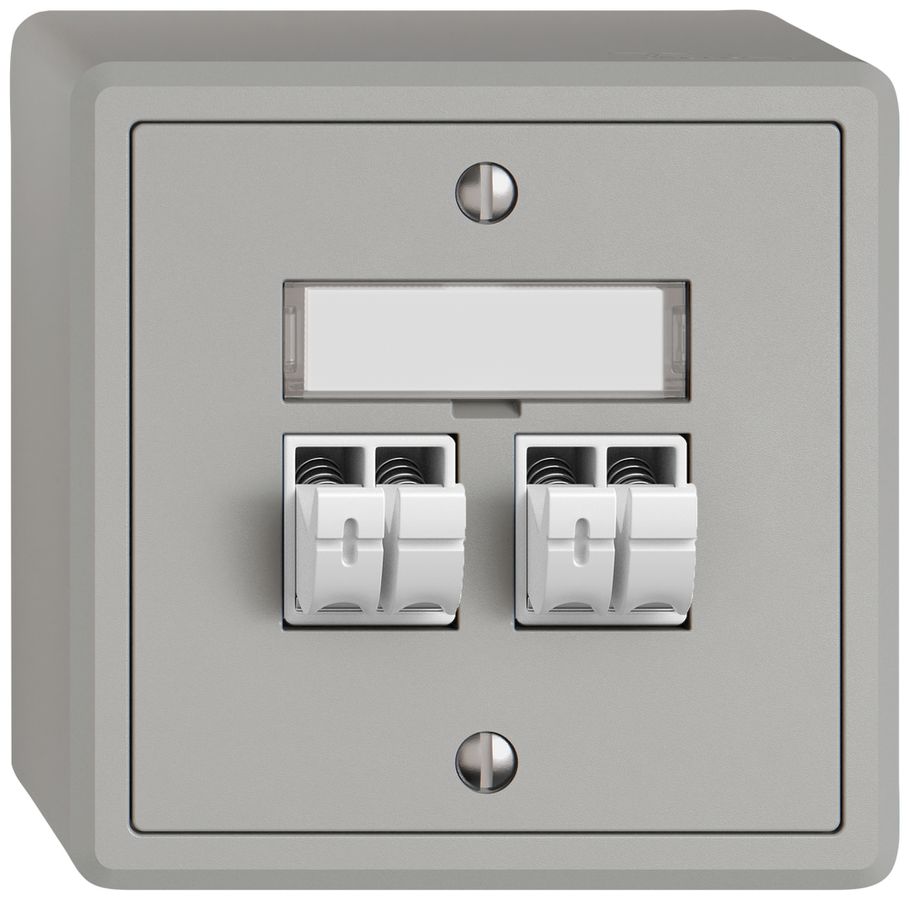 Presa audio AP EDIZIO.liv SNAPFIX® 2× grc