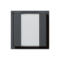 UP-Universaltaster 2×kallysto A mit LED anthrazit