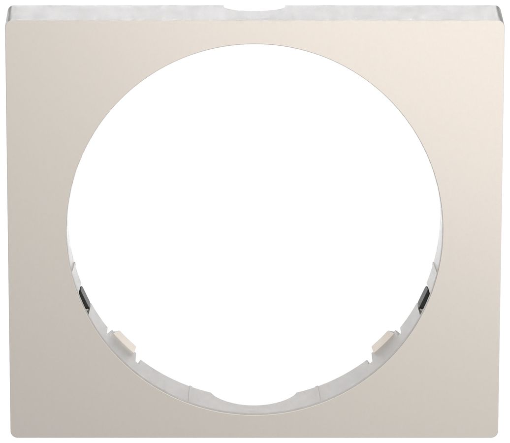 Cadre de décoration ABB Busch-Watchdog PRO acier affiné