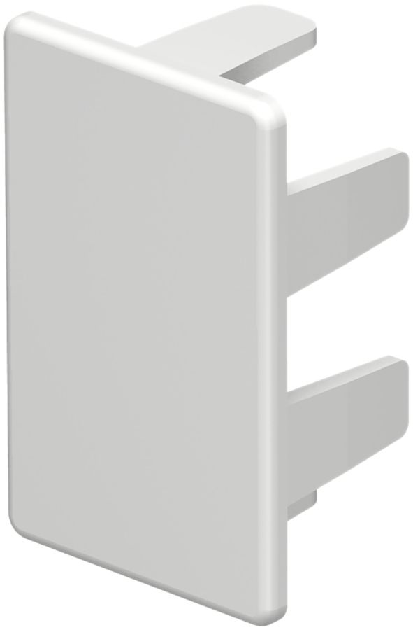 Plaque de fermeture Bettermann pour canal d'installation WDK blanc pur 25×40mm