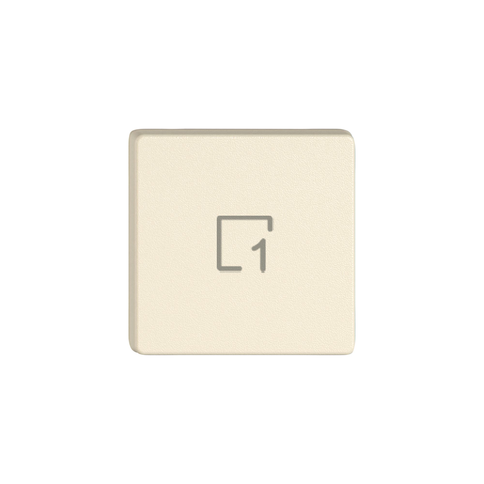 Taste 1/4 EDIZIO.liv Wiser mit SNAPFIX® mit Symbol Szene 1 cr