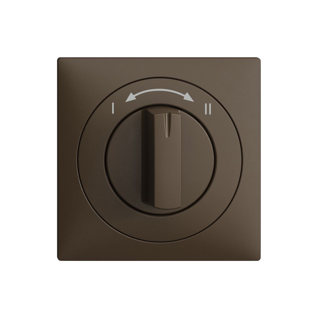 Frontset EDIZIOdue I<->II coffee 60×60mm für Schwenktaster