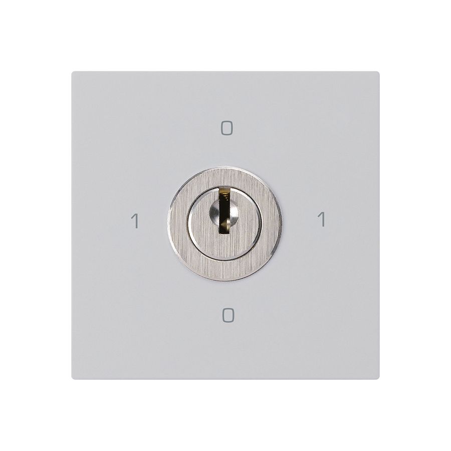 Einsatz zu Schlüsselschalter kallysto 0/2L hellgrau mit Schloss Kaba 8