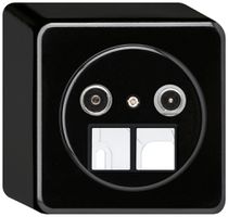 AP-Multimediadose basico TV-R 4dB 2GHz schwarz